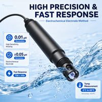 Sensor Kualitas Air Digital 0-14 pH Resolusi 0.01 pH Akurasi ±0.05 pH dengan Antarmuka RS485 untuk Pemantauan Proses