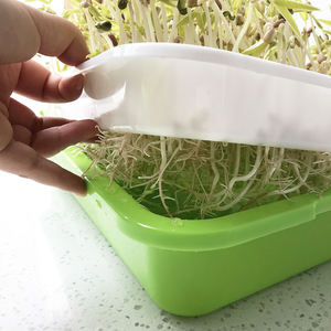 Bahan PP 3 Buah Rumah Kaca Pertanian Warna Hijau Baki Biji Tunas Kacang dengan Tutup - Product Image 3