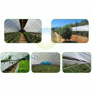 Serra del Tunnel dell'arco di agricoltura del Film di PEP della campata di piccola dimensione di buona qualità per la verdura e il fiore - Product Image 6