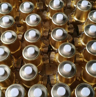 Vanne Cylindrique Manuelle Singao MM04-00500 DN50 2 Pouces de Haute Qualité pour Système d'Extinction d'Incendie HFC-227ea à Haute Température Base 1