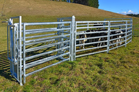 Panneaux de clôture portables amovibles en fer galvanisé pour chevaux, portails de corral pour bétail, robustes, écologiques, légers et durables