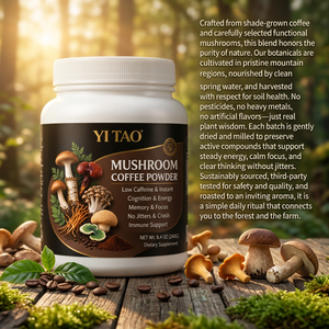 Poudre de café instantané aux champignons à faible teneur en caféine, marque privée OEM/ODM, pour stimuler l'énergie, la concentration, la mémoire et soutenir le système immunitaire – Complément alimentaire - Product Image 5
