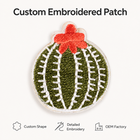 Écusson brodé personnalisé rond vert Cactus avec fleur rouge et détails de broderie, badge logo pour vêtements et sacs, vente en gros usine