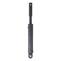 High Performance Truck Tailgate Hydraulic Single-Acting Ram Lifting Cylinder Hard Chrome Plated for Delivery Truck Taillift