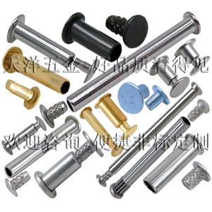 Tianyang Hardware Threaded Rivets Stainless Steel Snap Rivet Self Tapping Construction Industry Grade A Bright Uncoated - Product Image 2