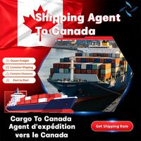 Agente de Transporte Marítimo, Canadá, Vancouver, Montreal - Aeropuerto Internacional Trudeau, Servicio de Transporte Aéreo Internacional
