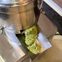 Extracteur de jus commercial à pression à froid en acier inoxydable, machine électrique pour fruits et légumes, jus de gingembre et de pomme