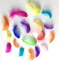Plumes d'oie naturelles pour l'artisanat, le bricolage, les stylos, les coiffes, les costumes, les chapeaux, les accessoires pour cheveux, les décorations de carnaval, de fête et de mariage