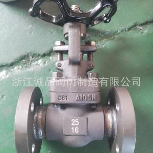 Vanne à boisseau à bride forgée J41H, manuelle, haute température, haute pression, pour eau, huile, gaz, matériau A105F304F316L, angle - Product Image 5