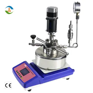 250ml High Pressure Stainless Steel Industrial Batch Reactor With Magnetic Stirrer