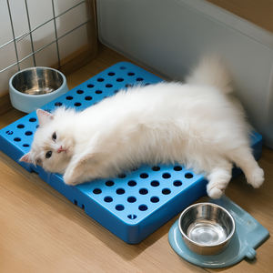 Toka bağlantı tasarımı ile küçük boyutlu plastik tepsi, ev kullanımı, depo ve süpermarket için uygun 500*400*100mm - Product Image 4