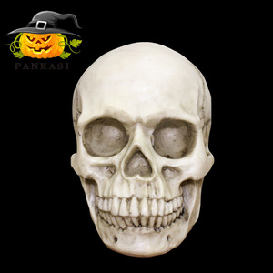 Modèle de crâne en résine pour Halloween, échelle 1:1, durable, pour la décoration et la reproduction artistique médicale - Product Image 5