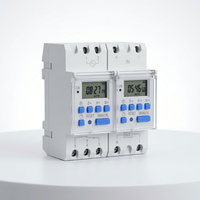 Waktu Penjualan Panas Timer Mini Bertenaga Baterai 25A 50/60Hz Tegangan 220V Sakelar Kontrol Mingguan yang Dapat Diprogram