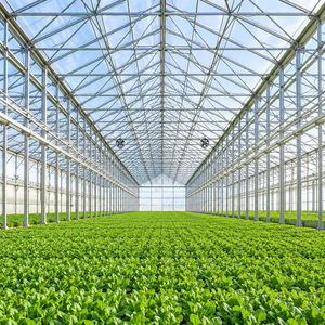 Serre à panneaux en polycarbonate à privation de lumière, système de blocage de la lumière automatisé pour ferme et environnement contrôlé - Product Image 6