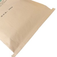 Sac en papier kraft laminé PP multi-usages pour divers matériaux secs tels que la poudre minérale et les granulés plastiques, sac en papier tissé