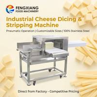 Machine industrielle FENGXIANG pour couper et éplucher le fromage, pneumatique, en acier inoxydable, tailles de coupe personnalisables, livraison directe d'usine