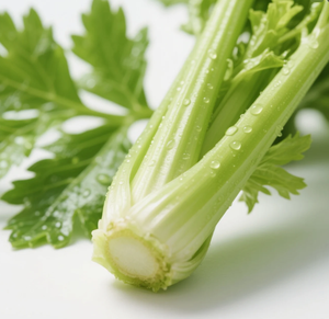 ผง <span class=keywords><strong>HPLC</strong></span> <span class=keywords><strong>98</strong></span>% <span class=keywords><strong>apigenin</strong></span> สกัดคาโมมายล์เกรดอาหารธรรมชาติ100% บรรจุในถัง - Product Image 4