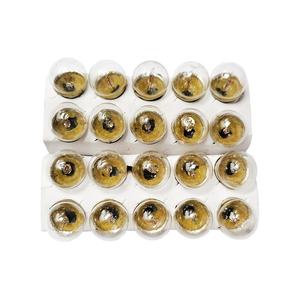 <span class=keywords><strong>Ampoule</strong></span> de feu stop/feu arrière 12V 5W/10W G18 avec broches à <span class=keywords><strong>baïonnette</strong></span> décalées pour feu arrière de voiture - Product Image 4