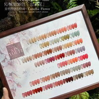 2025 Beauty Expo nouveau concepteur gelée Gel vernis à ongles 36 couleurs ensemble Gel Uv pour Salon et Nail Art ongles fournitures 12 ml/bouteille