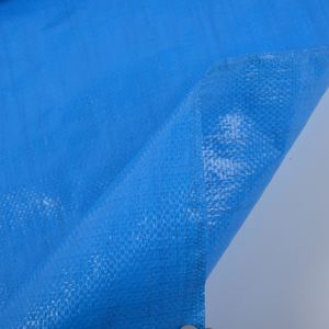 2024 फैक्टरी प्रत्यक्ष बिक्री मूल्य मेइली नोंग प्लास्टिक फ़्लोर क्लॉथ/पीपी पॉलीप्रोपाइलीन वीडिंग मैट/निराई नियंत्रण क्लॉथ विभिन्न आकार - Product Image 4