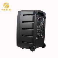 Haut-parleur audio Pro portable de 15 pouces PXH15-DM100G2U7 haut-parleur karaoké actif professionnel