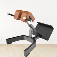 Chaise romaine d'hyperextension d'équipement de forme physique de gymnase de machine de banc de gymnase