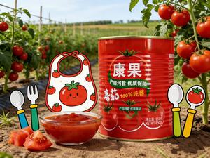 <strong>First</strong>-Choice Kangguo 140g Canned Tomato Paste (<strong>Ketchup</strong>) Customizable OEM Normal Lid 24 Months Shelf Life Competitive Price - Product Image 2
