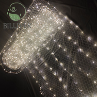 Guirlande lumineuse de ciel étoilé pour mariage, lumières de filet de pêche pleines d'étoiles, lumières décoratives de scène, lumières de plafond, guirlande lumineuse en fil de cuivre