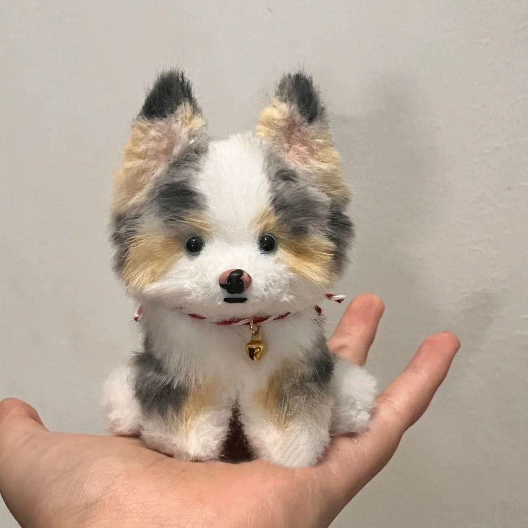 Chiot à oreille pointue-1 [tutoriel sur l'emballage matériel]