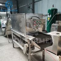 Machine à éplucher l'ail, ligne de production de poudre d'ail, éplucheur d'ail électrique