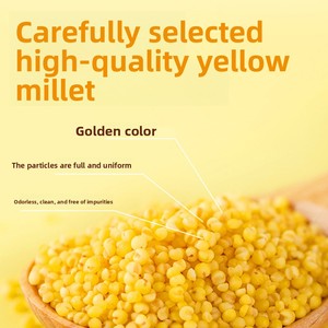 <span class=keywords><strong>Miglio</strong></span> giallo arricchito di selenio Chigawa, 2,5 kg di <span class=keywords><strong>miglio</strong></span> giallo piccolo Chifeng Aohan, porridge di <span class=keywords><strong>miglio</strong></span> integrale prodotto in azienda - Product Image 2