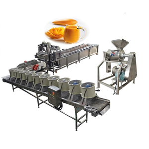 Máquina extractora de zumo de Mango, Extractor de zumo de Mango para zumo de Mango - Product Image 1
