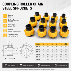 Un fabricant professionnel chinois fournit des accouplements d'arbre à chaîne flexibles en acier OEM pour l'industrie de la construction. - Product Image 4