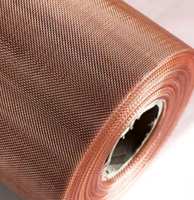 High Precision Plain Woven Stainless Steel Filter Mesh Roll Durable High-Conductivity Wire Screen Industrial Filtration