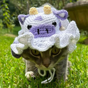 Accessoires pour animaux de compagnie en gros : Bonnet amusant en forme de grenouille de dessin animé, cache-cou et cache-oreilles en crochet, cache-cou tricoté pour chiens Teddy et chats - Product Image 2