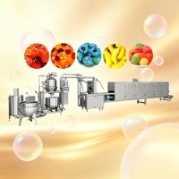 Hoge precisie 150-600kg/uur vitamine-gevulde gummy snoep productielijn, gummy productie- en verpakkingsmachine