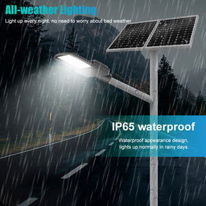 BOSUN, gran oferta, farolas LED divididas solares de 80W y 100W con controlador Ip65 MPPT, farola de aluminio para exteriores para áreas urbanas - Product Image 3