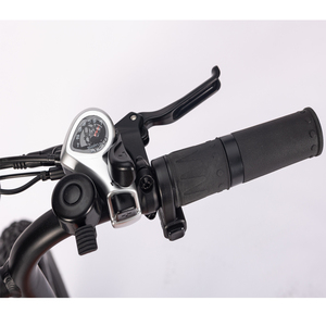 Nouveau Vélo Électrique Baogl pour Femme, 20 Pouces, Suspension Arrière, Style Rétro, Fatbike Tout-Terrain ATV06 PRO - Product Image 6