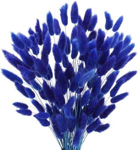 Flores Secas Naturales de Alta Calidad, Hierba Cola de Conejo para Decoración del Hogar - Product Image 6