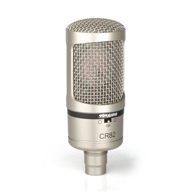797AUDIO ACR02 Professional Studio Recording Condenser Microphone XLR for Computer Singing Audio Living Programs Metal Studio