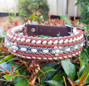 2025 Gemengde Moq Unieke Bruine <span class=keywords><strong>Germany</strong></span> Schotse Hondenhalsband Showleads En Halve Kragen Gebogen Zijsluiting 38Mm - Product Image 2