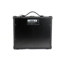 Amplificateur de guitare acoustique électrique Deviser 25W avec haut-parleur de 8 pouces, construction en alliage d'aluminium - Accessoire d'instrument de musique chinois
