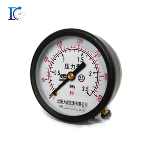 다청 산업용 황동 커넥터 압력계 60mm 직경 0-600 바 범위 IP54 보호 1년 보증 - Product Image 2