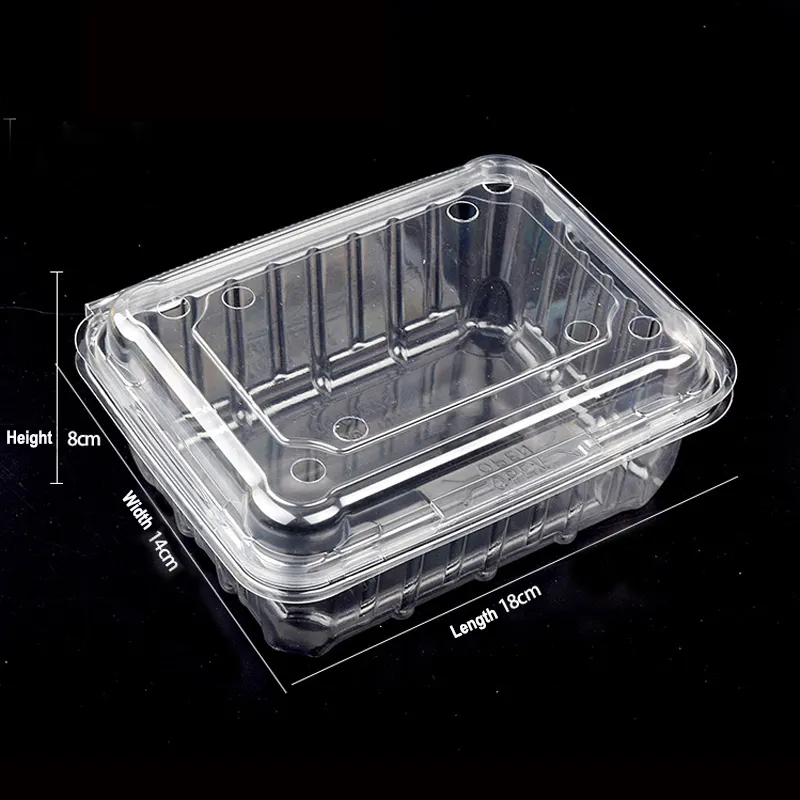 Retangular para animais de estimação de plástico, retângulo transparente respirável, caixa de frutas, Model-500g