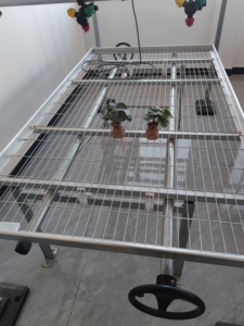 Banc roulant en treillis de treillisserie pour pépinière agricole, en acier galvanisé à chaud, robuste, pour bacs de semis - Product Image 1