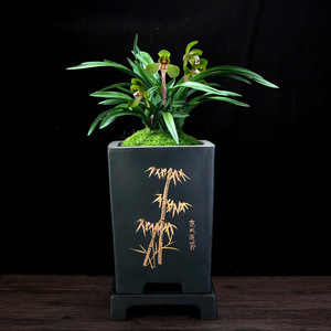 Vaso Grande Quadrato in Argilla Viola Yixing con <span class=keywords><strong>Sottovaso</strong></span>, Fioriera Zisha Intagliata per Clivia, <span class=keywords><strong>Bonsai</strong></span> e Piante Verdi - Product Image 3