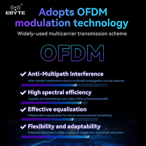 Ebyte ODM E51 Series Industrial-grade Multi-protocol Wi-Sun Module Gateway Routing Module Development Board 433/868/915MHz 16dBm - Product Image 5