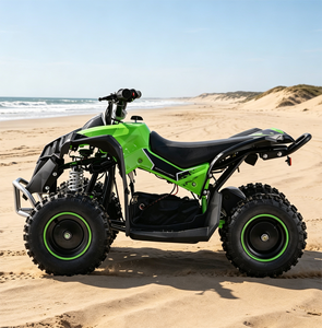 <span class=keywords><strong>Quad</strong></span> <span class=keywords><strong>électrique</strong></span> ATV <span class=keywords><strong>1000W</strong></span> 48V <span class=keywords><strong>36V</strong></span> pour enfants, tout-terrain, transmission par chaîne - Product Image 2
