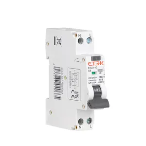 Disyuntor ETEK de 25 amperios rcbo, disyuntores de protección contra sobretensiones de cortocircuito de sobrecarga RCD de 2 polos (1P + N) 6kA tipo A 30mA RCBO