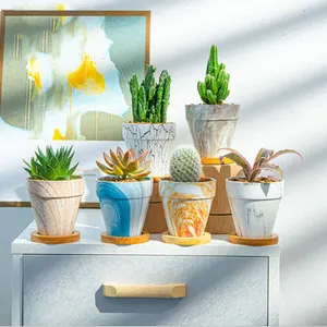 Moderno Piccolo Mini di Ceramica Fiore di Cactus Vasi di Ceramica di Fiori Fioriere Succulente Vasi Con Fori di Drenaggio